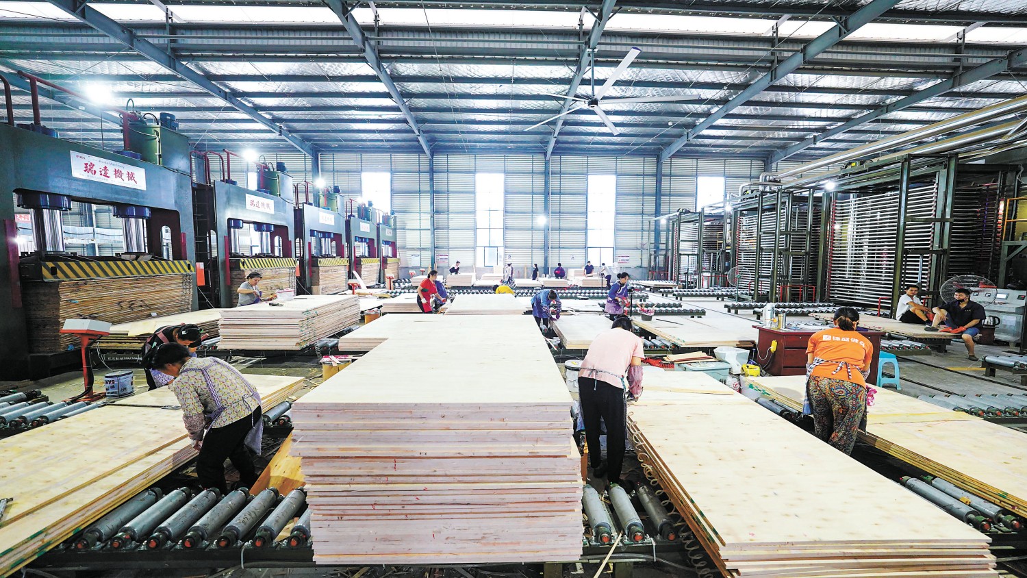 從綠水青山到金山銀山 貴州榕江如何將杉木打造成富民強(qiáng)縣大產(chǎn)業(yè)